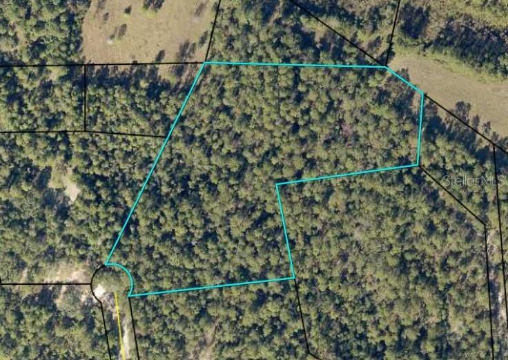 TBD Bear Head Rd, Crestview, FL 32539 - photo 2