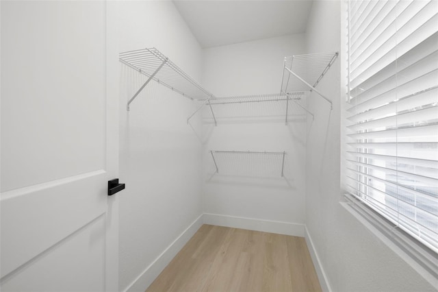 3008 E Elm St, Tampa, FL 33610 - photo 14