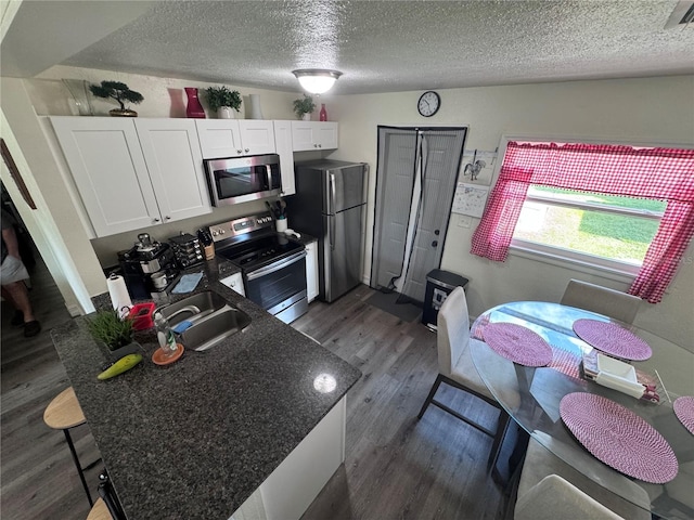 316 E Hydrangia St, Tampa, FL 33612 - photo 10