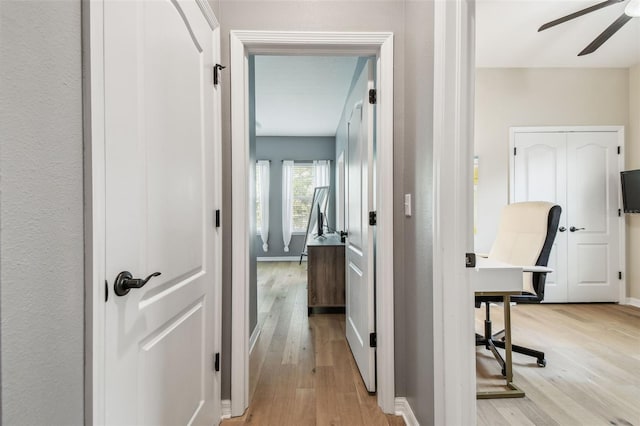 7001 Interbay Blvd Unit 134, Tampa, FL 33616 - photo 29