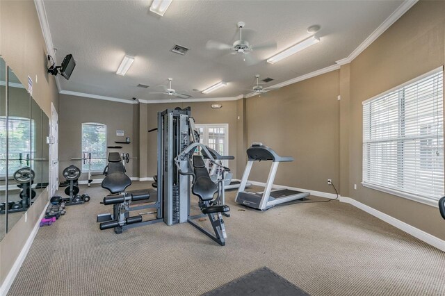 7001 Interbay Blvd Unit 134, Tampa, FL 33616 - photo 81