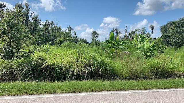 0 Sink Hole Rd, Bartow, FL 33830 - photo 1