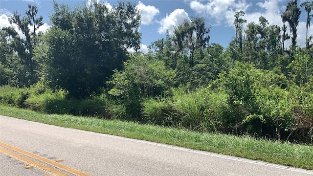 0 Sink Hole Rd, Bartow, FL 33830 - photo 2