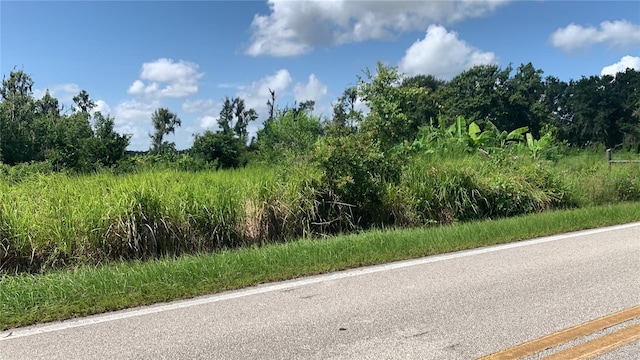 0 Sink Hole Rd, Bartow, FL 33830 - photo 3