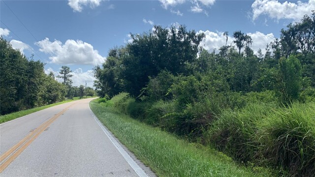 0 Sink Hole Rd, Bartow, FL 33830 - photo 4