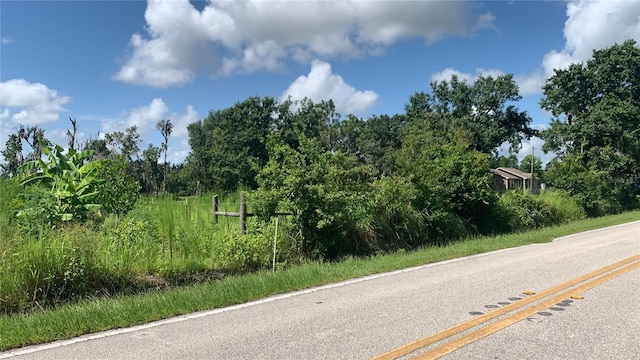 0 Sink Hole Rd, Bartow, FL 33830 - photo 5