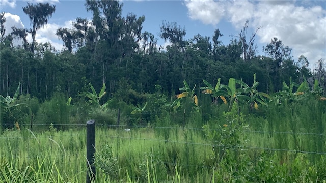 0 Sink Hole Rd, Bartow, FL 33830 - photo 6