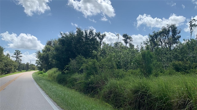 0 Sink Hole Rd, Bartow, FL 33830 - photo 26