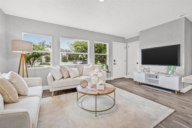 1302 22nd Ave N, Saint Petersburg, FL 33704 - photo 5