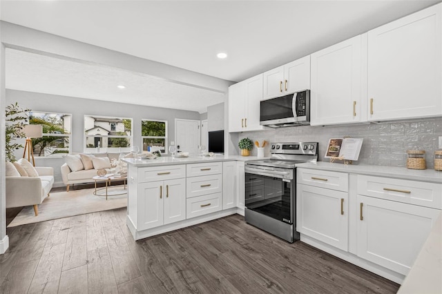 1302 22nd Ave N, Saint Petersburg, FL 33704 - photo 11