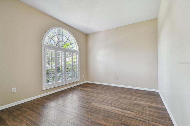 19331 Wind Dancer St, Lutz, FL 33558 - photo 12