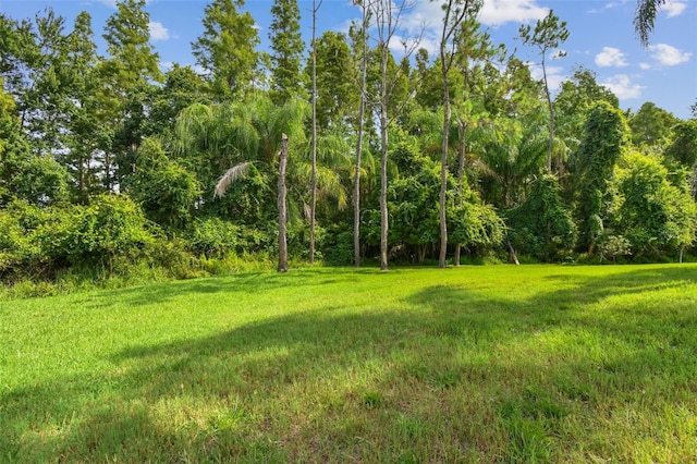 19331 Wind Dancer St, Lutz, FL 33558 - photo 72