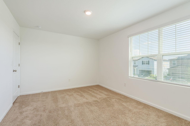 34823 Daisy Meadow Loop, Zephyrhills, FL 33541 - photo 20
