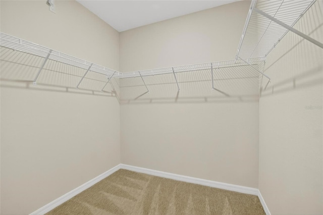 820 Sun Burst Rd, Winter Haven, FL 33880 - photo 30