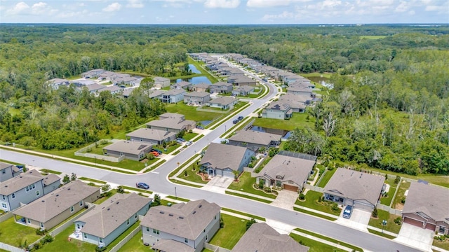 18359 Cortes Creek Blvd, Spring Hill, FL 34610 - photo 46