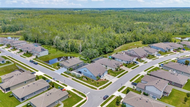 18359 Cortes Creek Blvd, Spring Hill, FL 34610 - photo 49