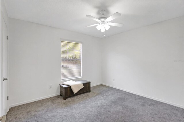 9422 Oak Meadow Ct, Tampa, FL 33647 - photo 32