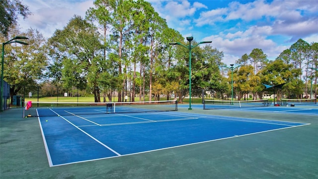 9422 Oak Meadow Ct, Tampa, FL 33647 - photo 43