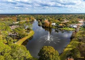 9422 Oak Meadow Ct, Tampa, FL 33647 - photo 53