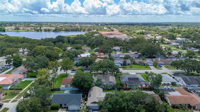 2019 Del Betmar Rd, Clearwater, FL 33763 - photo 4