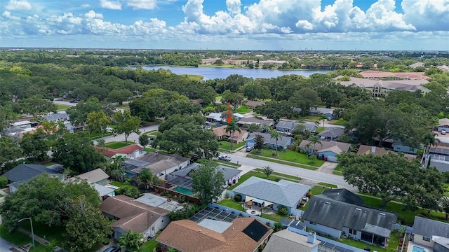 2019 Del Betmar Rd, Clearwater, FL 33763 - photo 43