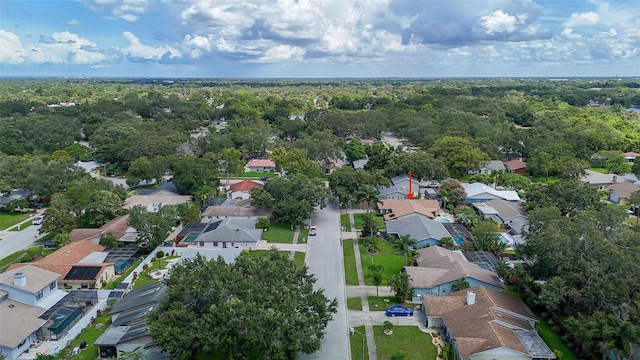 2019 Del Betmar Rd, Clearwater, FL 33763 - photo 44