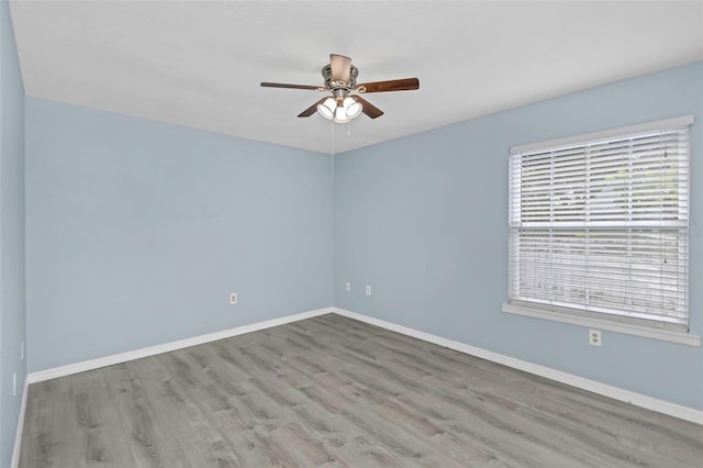 2761 Cactus Hill Pl, Palm Harbor, FL 34684 - photo 12