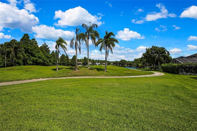 4025 Harbor Lake Dr, Lutz, FL 33558 - photo 52