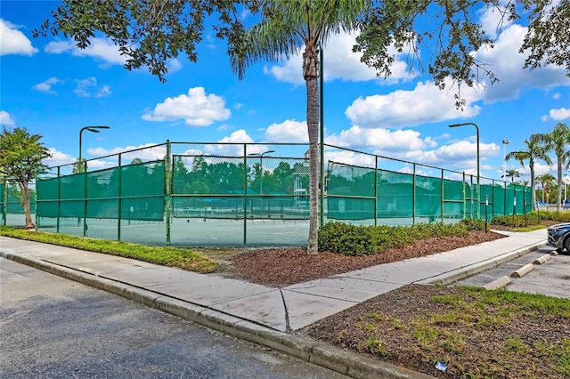 4025 Harbor Lake Dr, Lutz, FL 33558 - photo 72