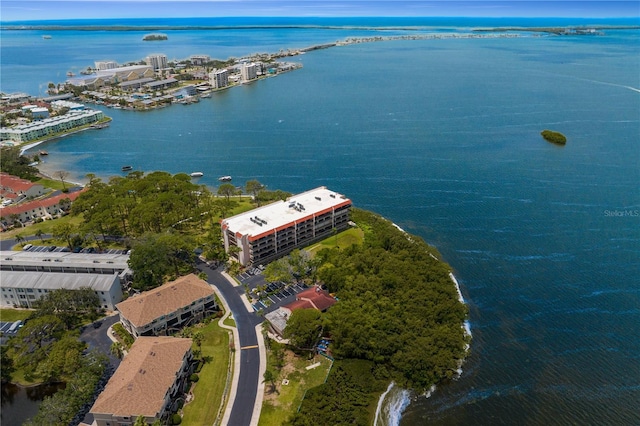 2700 Bayshore Blvd Unit 11405, Dunedin, FL 34698 - photo 2