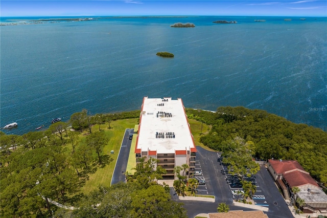 2700 Bayshore Blvd Unit 11405, Dunedin, FL 34698 - photo 3