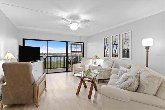 2700 Bayshore Blvd Unit 11405, Dunedin, FL 34698 - photo 6