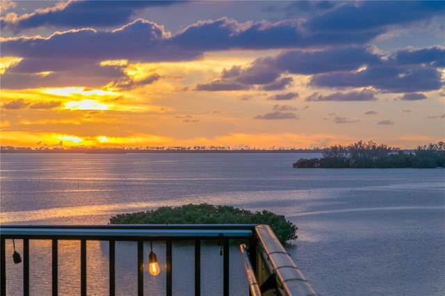 2700 Bayshore Blvd Unit 11405, Dunedin, FL 34698 - photo 19