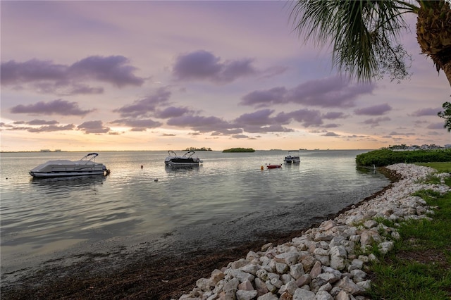 2700 Bayshore Blvd Unit 11405, Dunedin, FL 34698 - photo 23