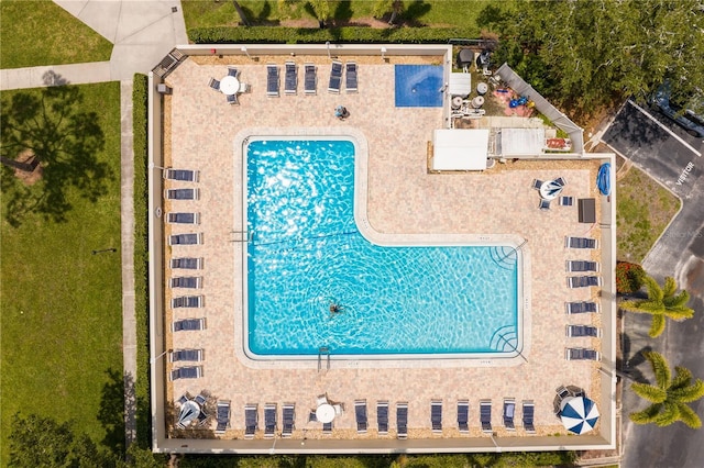 2700 Bayshore Blvd Unit 11405, Dunedin, FL 34698 - photo 27