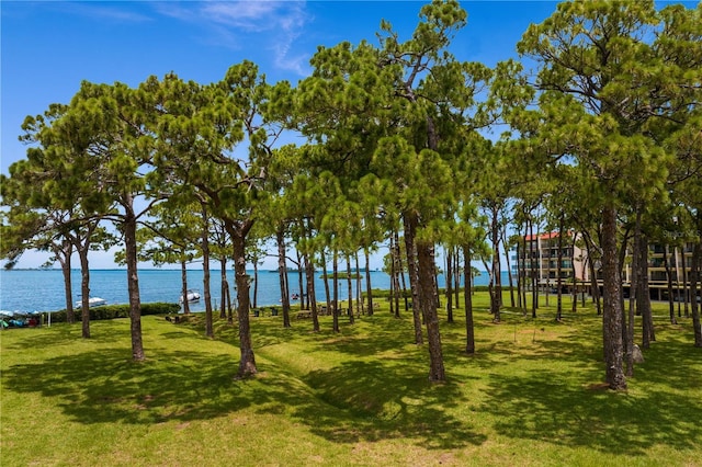 2700 Bayshore Blvd Unit 11405, Dunedin, FL 34698 - photo 30
