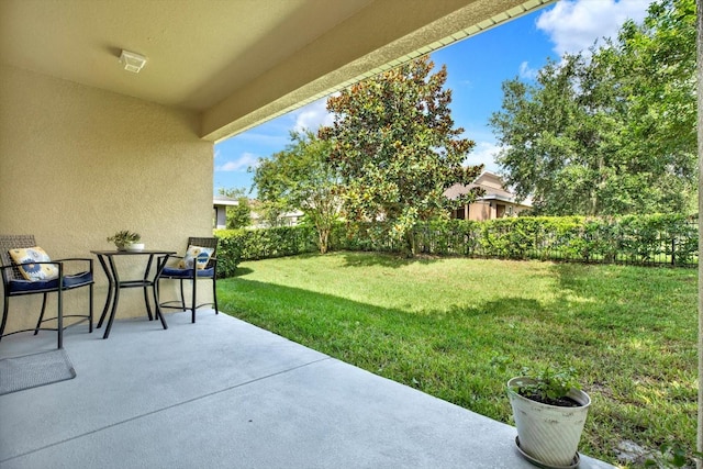 5913 Chert Hill Ln, Lithia, FL 33547 - photo 39