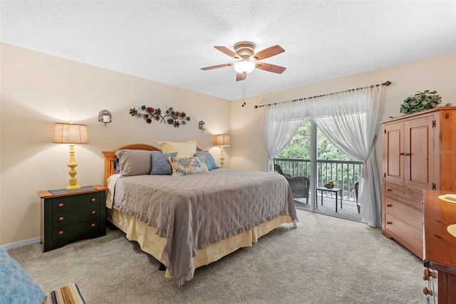 18195 Paradise Point Dr, Tampa, FL 33647 - photo 15