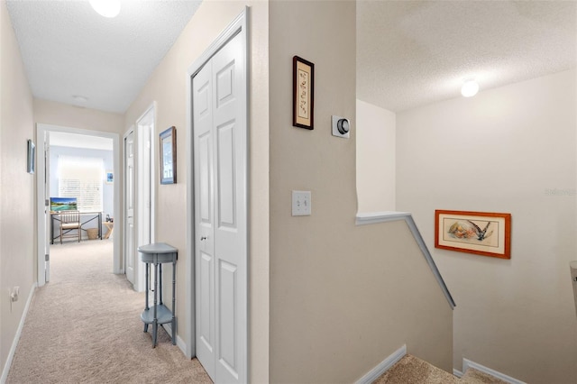 18195 Paradise Point Dr, Tampa, FL 33647 - photo 22