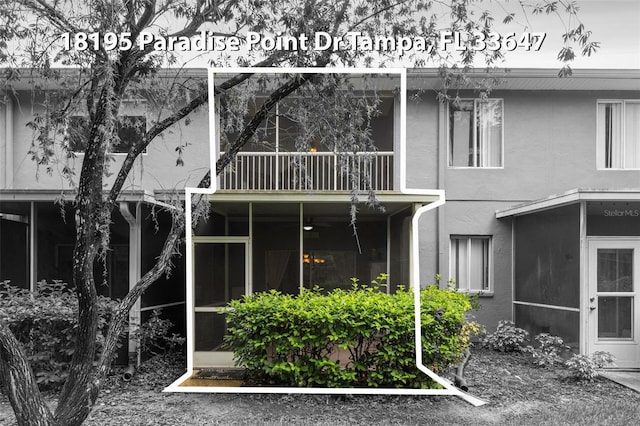 18195 Paradise Point Dr, Tampa, FL 33647 - photo 27