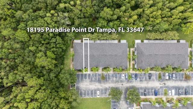 18195 Paradise Point Dr, Tampa, FL 33647 - photo 28