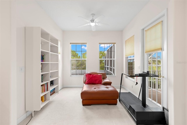 1223 Darlington Oak Cir NE, Saint Petersburg, FL 33703 - photo 38