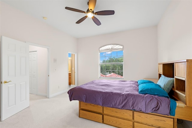 1223 Darlington Oak Cir NE, Saint Petersburg, FL 33703 - photo 55