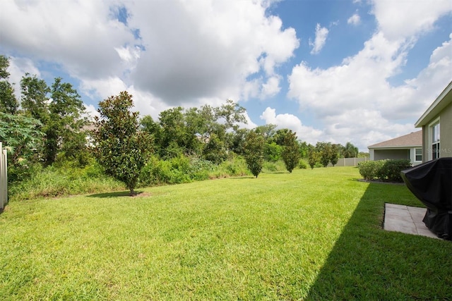 16617 Goose Ribbon Pl, Wimauma, FL 33598 - photo 34