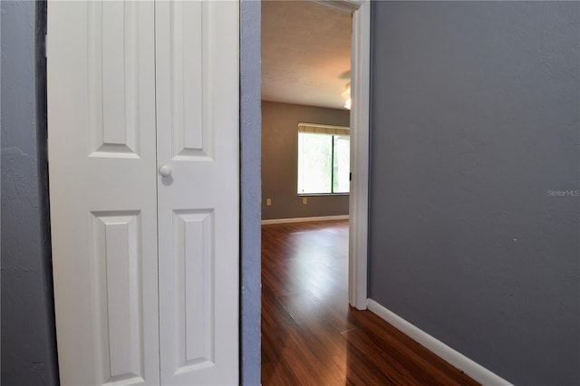 2300 SW 43rd St Unit F3, Gainesville, FL 32607 - photo 12