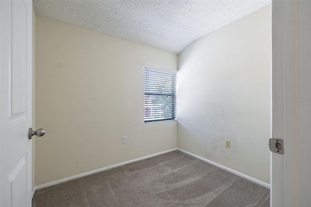 5563 Baywater Dr Unit 37, Tampa, FL 33615 - photo 21