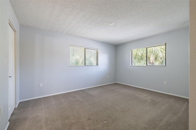 5563 Baywater Dr Unit 37, Tampa, FL 33615 - photo 22