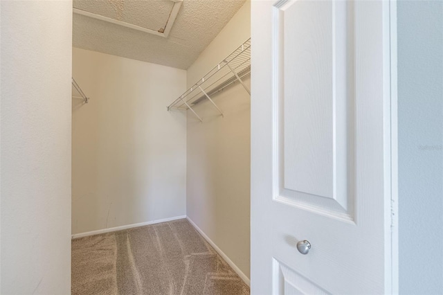 5563 Baywater Dr Unit 37, Tampa, FL 33615 - photo 25