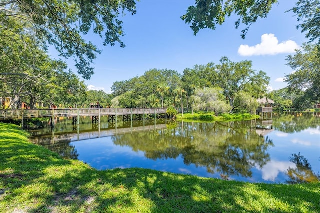5563 Baywater Dr Unit 37, Tampa, FL 33615 - photo 37