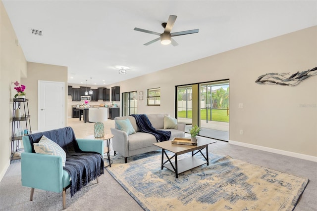 10004 Celtic Ash Dr, Ruskin, FL 33573 - photo 6